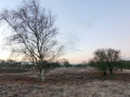 35-DSC01200-