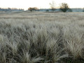 36-DSC01208-