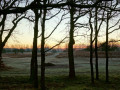37-DSC01215-