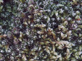 38-DSC01260-