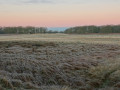 40-DSC01213