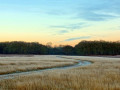 41-DSC01225-