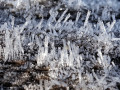42-DSC01286-