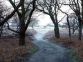 43-DSC01227-