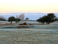 44-DSC01229-