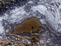 46-DSC01281-