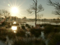49-DSC01254-