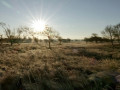52-DSC01255-