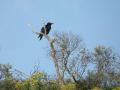 03-DSC06464-