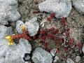 07-DSC05444-