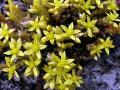 11-DSC05511-