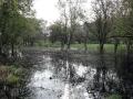 14-DSC05399-