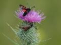 16-DSC06744-