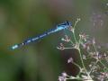 17-DSC06618-