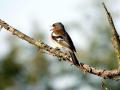 18-DSC05585-