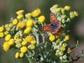 21-DSC05621-