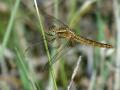 24-DSC05684-