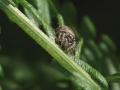 27-DSC06120-