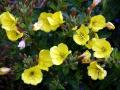 28-DSC06849-