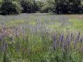 29-DSC05709-