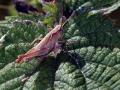 31-DSC06098-