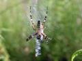 35-DSC06647-