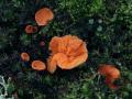 26-DSC04498-