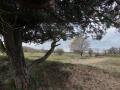 28-DSC04855-