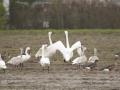 88A6788