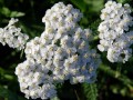 24-DSC01700