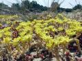 01-DSC02213-