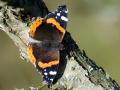 06-DSC03594-