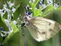 08-DSC02676-