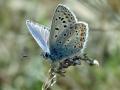11-DSC03280-