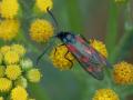 13-DSC02839-