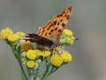 14-DSC03254-