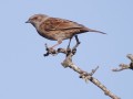 02-DSC01717-