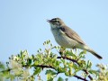 03-DSC02102-