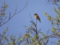 05-DSC01756-