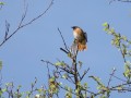 06-DSC01760-.