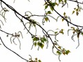 22-DSC02022-