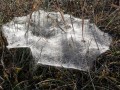 24-DSC02043-