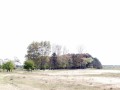 28-DSC02198-.