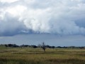 26-DSC03884-Grppt-Zwarteveld.