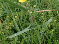 P7050159-