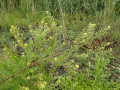 P7050170-