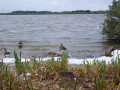 P7050174-