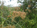 P7050182-