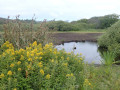 P7050184-