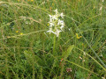 P7050196-